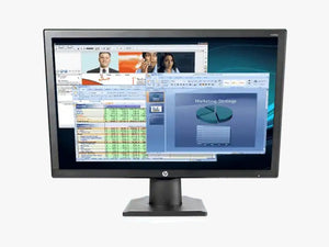 HP V203p 43.53 cm (19.5) Monitor