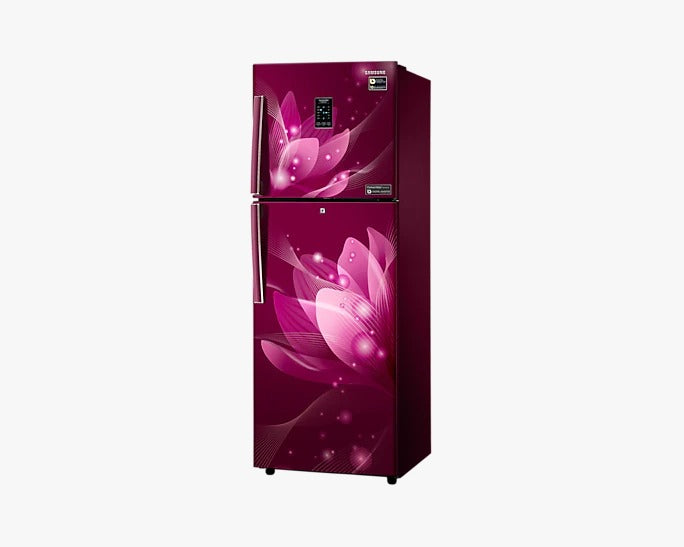 Samsung 253L Convertible Freezer Double Door Refrigerator RT28T3922R8