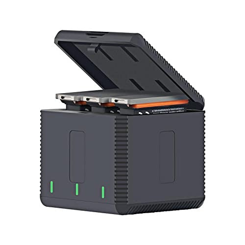 RUIGPRO USB ट्रिपल बैटरी हाउसिंग चार्जर बॉक्स