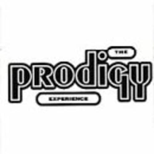 The Prodigy Experience Lp