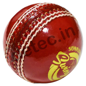 SS Swinger Cricket Balls (pack of 20)