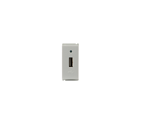 Philips Switches & Sockets 2.1 A USB Charger 913713825301