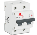 Load image into Gallery viewer, Havells C Type DP Higher Rating Mcb 80 to 125A
