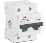 Load image into Gallery viewer, Havells C Type DP Higher Rating Mcb 80 to 125A
