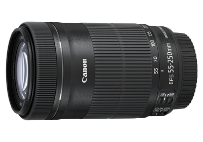 Canon EF-S55-250mm F/4-5.6 IS STM Lens
