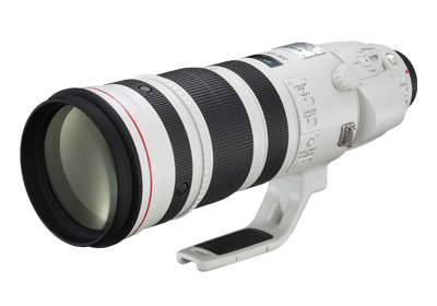 Canon EF200-400mm F/4L IS USM Extender 1.4x Lens