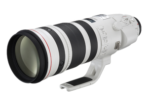 Canon EF200-400mm F/4L IS USM Extender 1.4x Lens