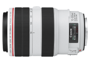 Canon EF70-300mm F/4-5.6L IS USM