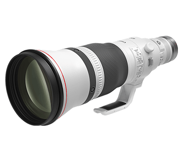 Canon RF600mm F4L IS USM Super Telephoto Superior Quality