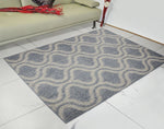 Load image into Gallery viewer, Saral Home Detec™  Modern Carpet (150x210cm)
