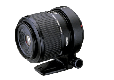 Canon MP-E65mm f/2.8 1-5x Macro Photo