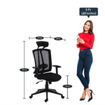 Load image into Gallery viewer, Detec™ Ergonomic Desk Chair Adjustable Revolving Chair - Black Color
